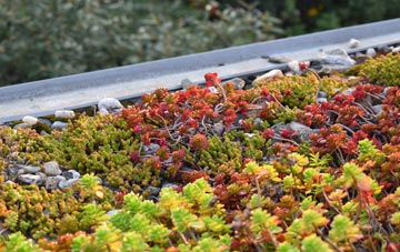 the cost of Ardleigh Heath green roof installation