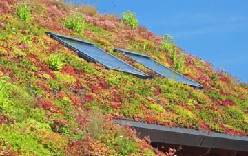 Ardleigh Heath living roof systems