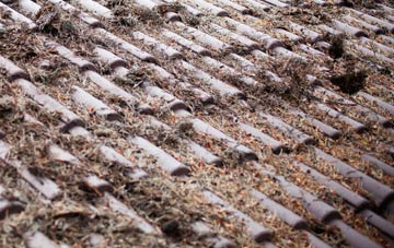 Ardleigh Heath roof cleaning companies