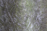 Ardleigh Heath fibreglass roof work